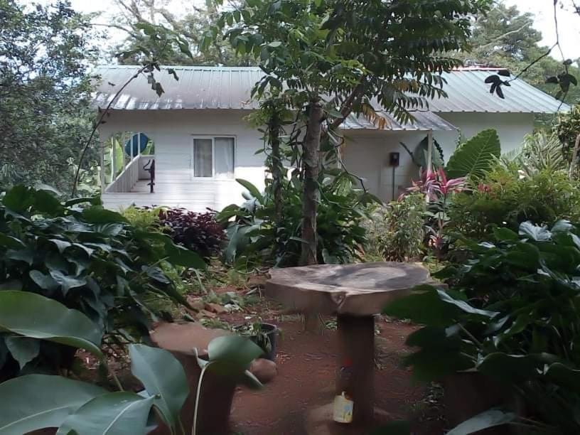Casa De Andrea Villa Santo Antonio ภายนอก รูปภาพ